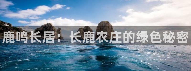 九游会体育电竞