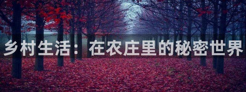 九游会数字货币平台