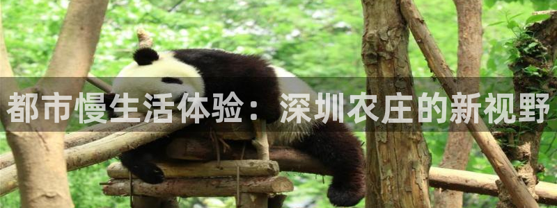 九游光遇买东西会优惠吗