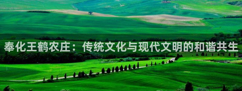 九游会官网平台