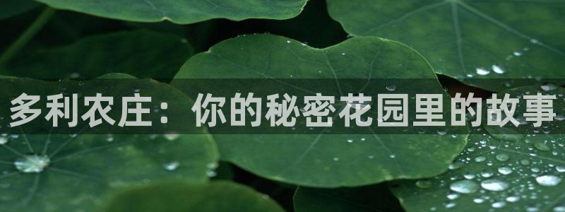 九游会体育网址