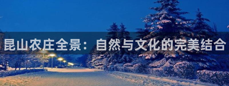 九游会怎么提款