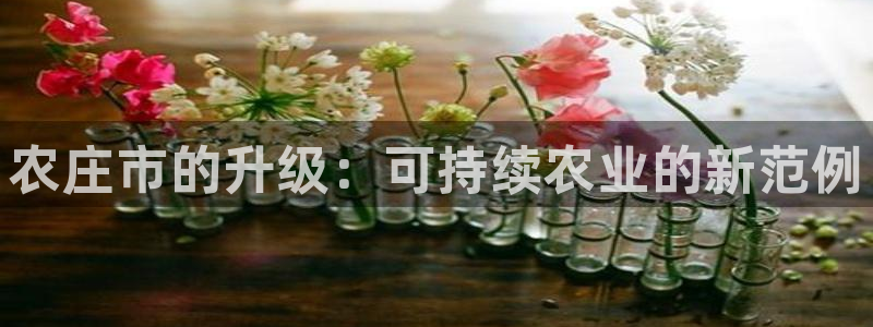 九游会平台如何