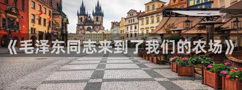 老哥会APP九游会