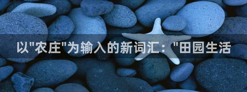 九游会官网手机版本