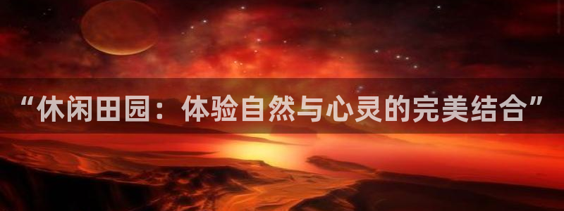 九游与九游会新选择