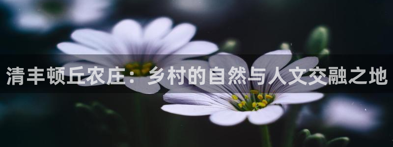 九游会论坛九哥