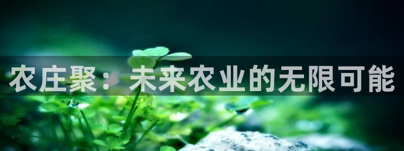 九游会彩票平台