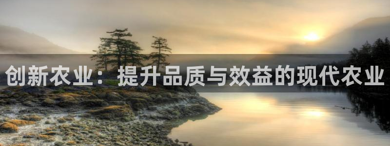 j9九游会备用网站