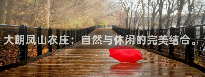 j9九游会官方网站国际